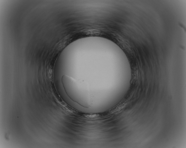 X0000092110281200709121135