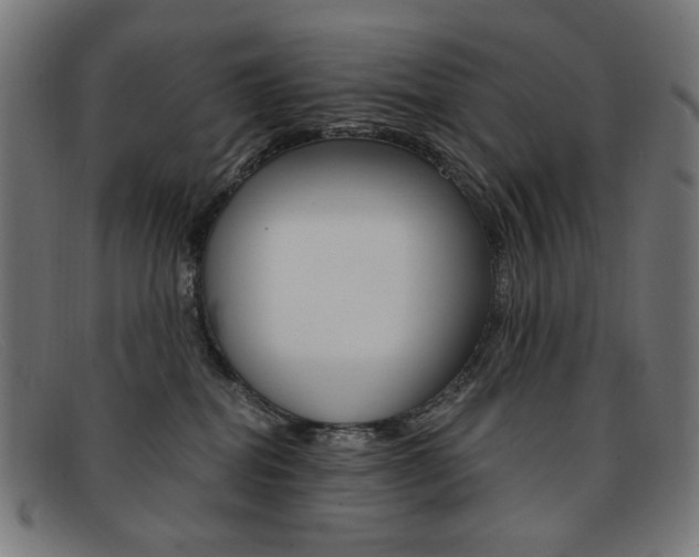 X0000092110282200709121135