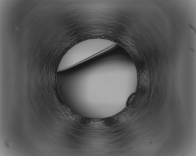 X0000092110283200709121135