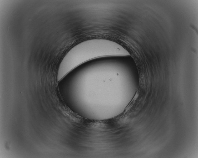 X0000092110284200709121135