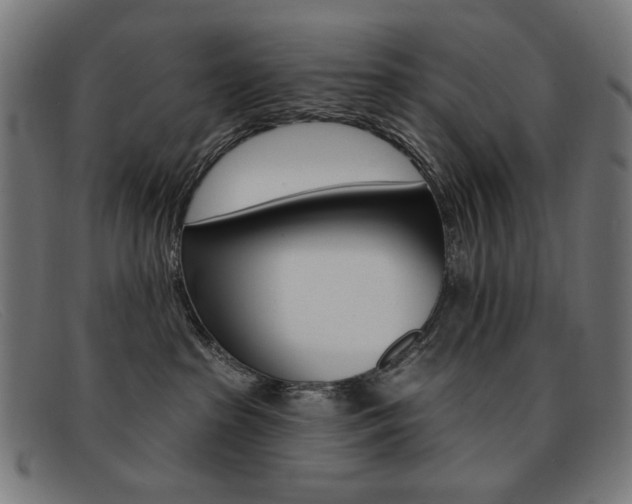 X0000092110285200709121135