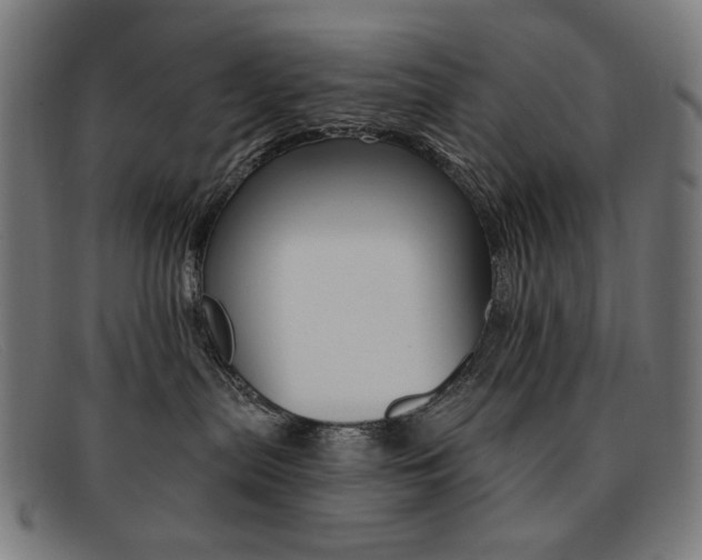 X0000092110287200709121135