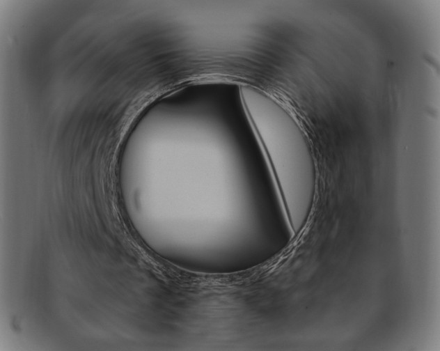 X0000092110289200709121135