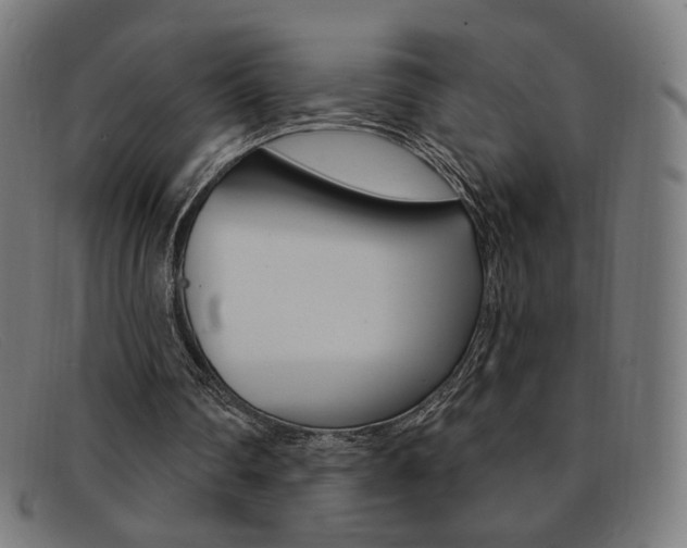 X0000092110290200709121135