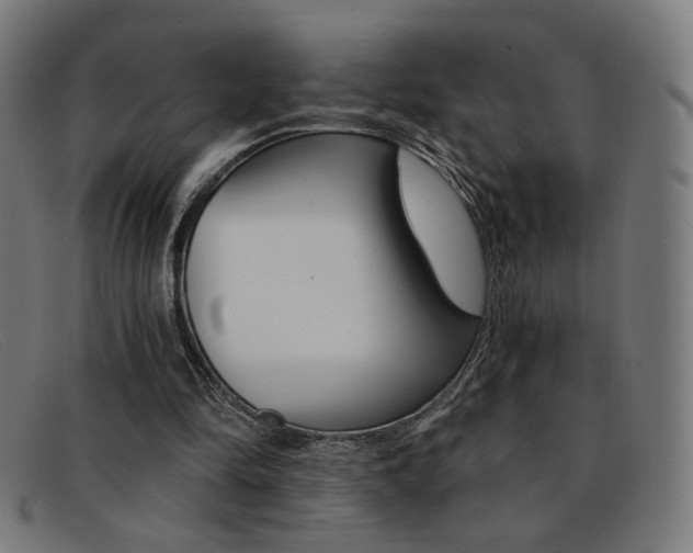 X0000092110294200709121135
