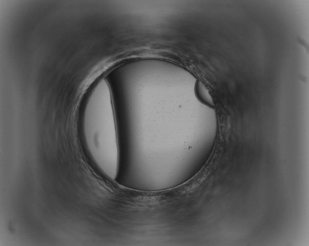 X0000092110295200709121135