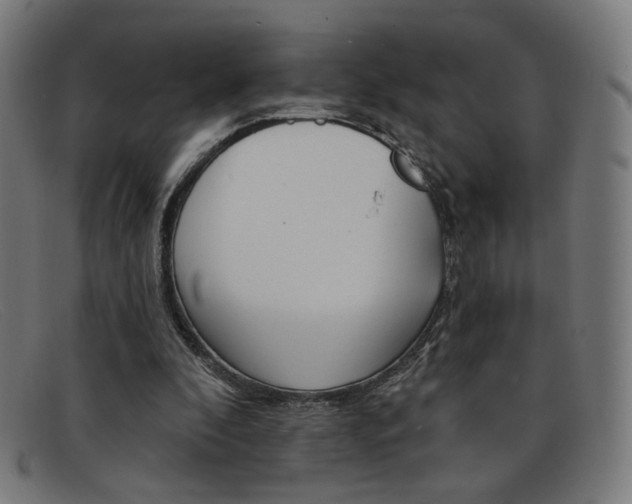 X0000092110296200709121135