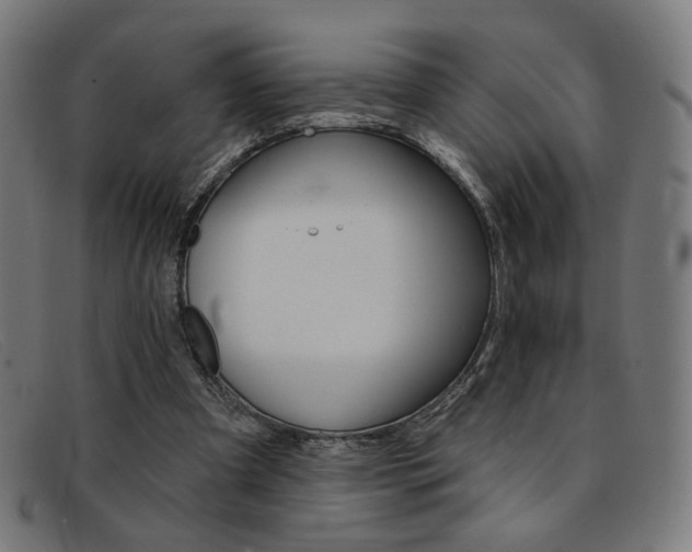 X0000092110297200709121135