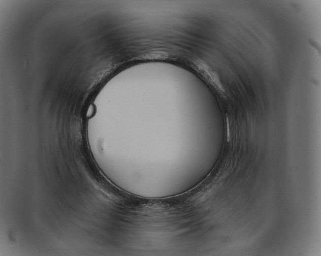 X0000092110300200709121135