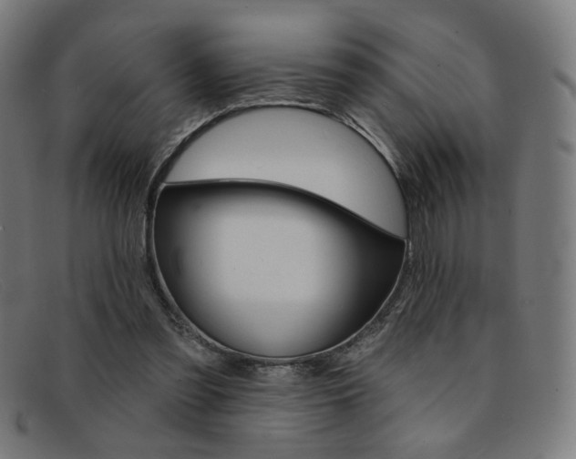 X0000092110301200709121135