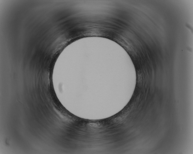X0000092110302200709121135