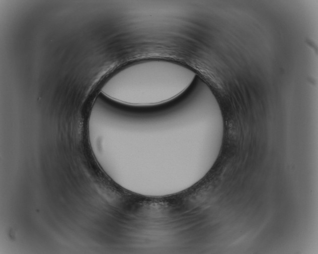 X0000092110304200709121134