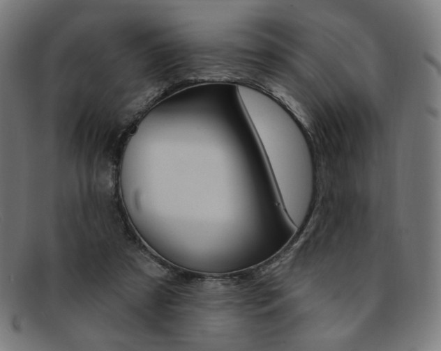 X0000092110305200709121134