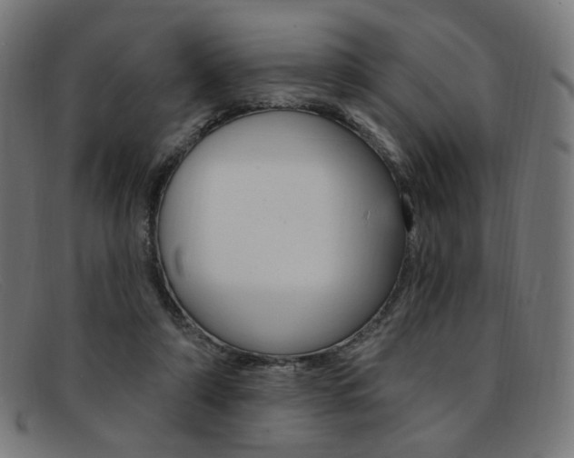 X0000092110306200709121134