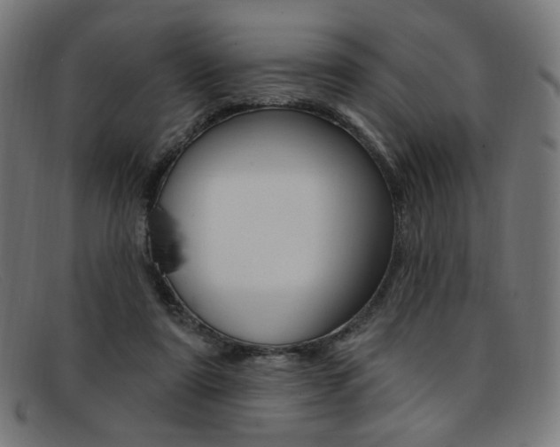 X0000092110307200709121134