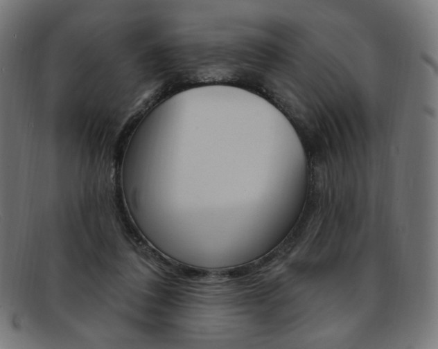 X0000092110308200709121134