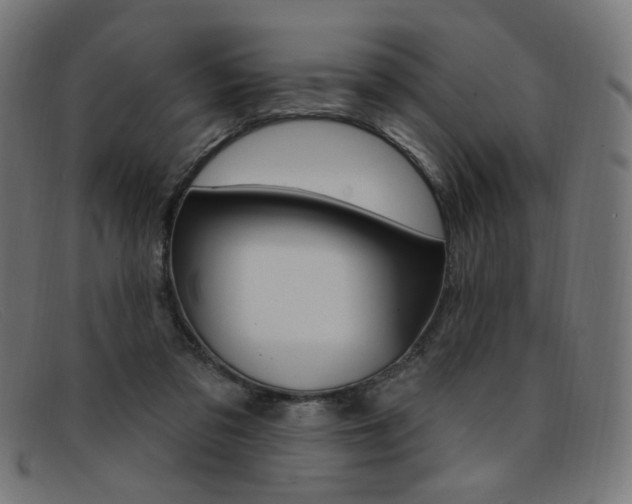 X0000092110309200709121134