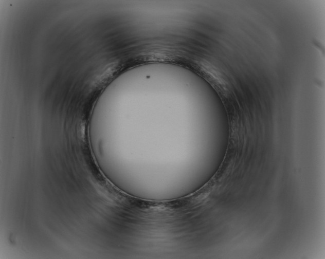X0000092110310200709121134