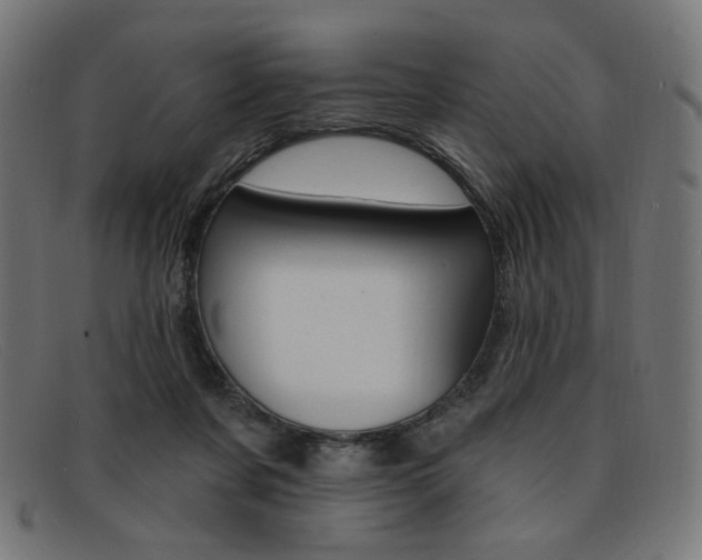 X0000092110311200709121134