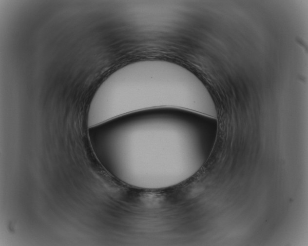 X0000092110319200709121134