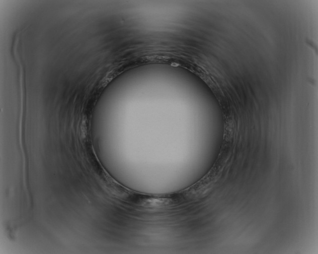 X0000092110323200709121134