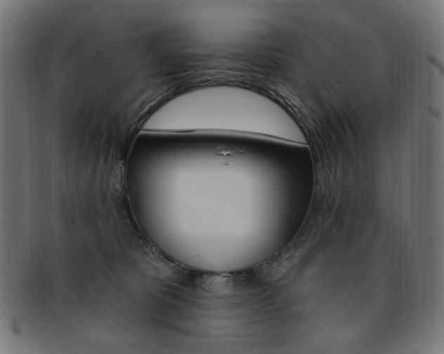 X0000092110325200709121134