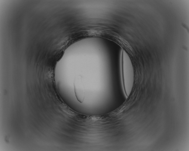 X0000092110329200709121134