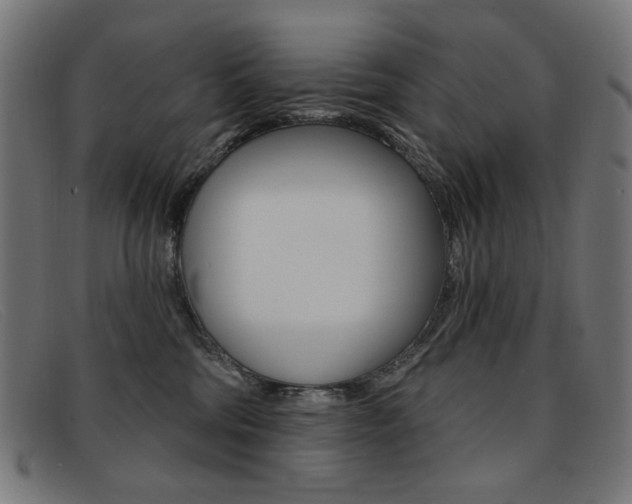 X0000092110330200709121134