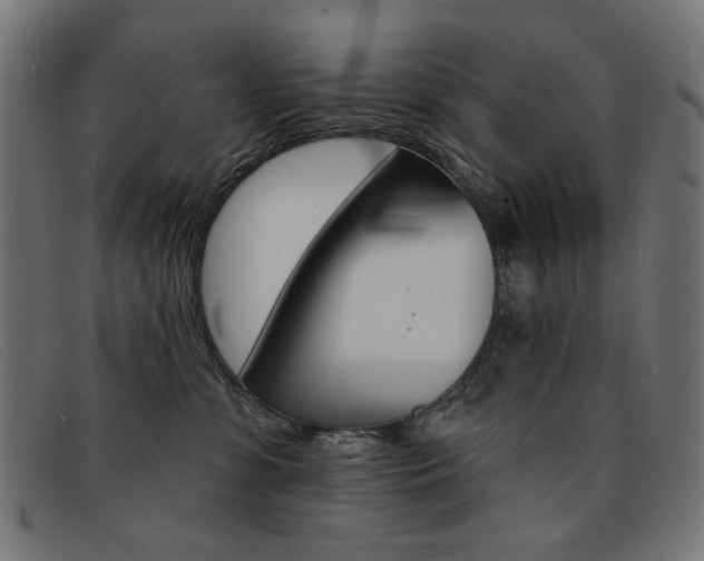 X0000092110331200709121134