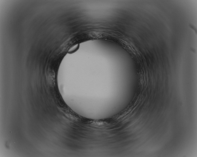 X0000092110332200709121134
