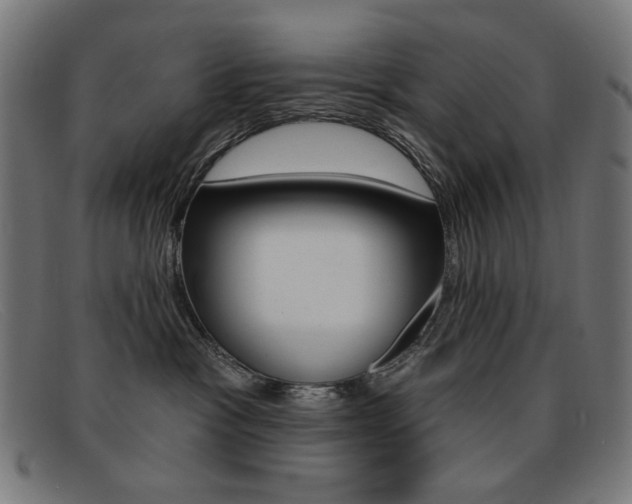 X0000092110333200709121134