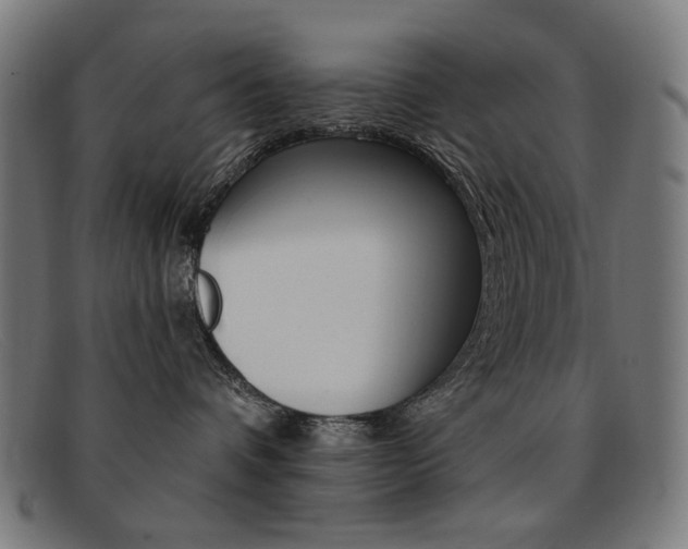 X0000092110336200709121134