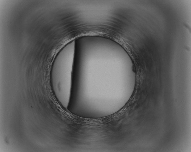 X0000092110337200709121134