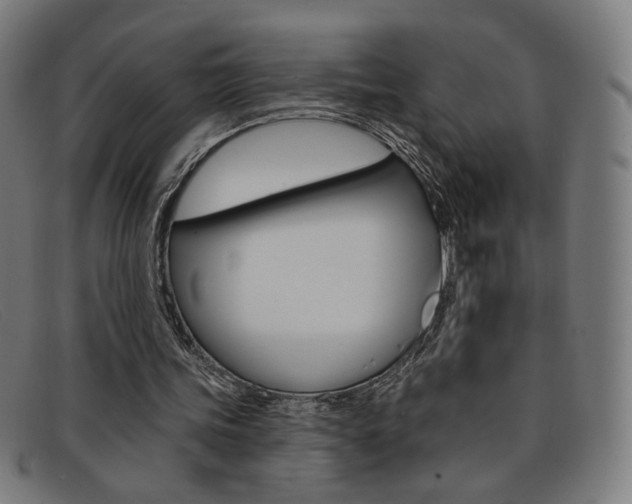 X0000092110339200709121134