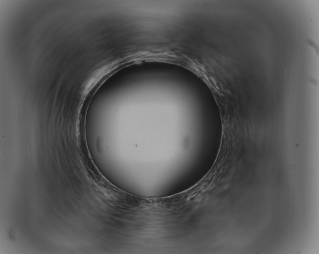 X0000092110340200709121134