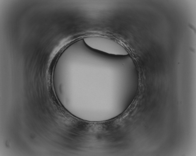 X0000092110343200709121134