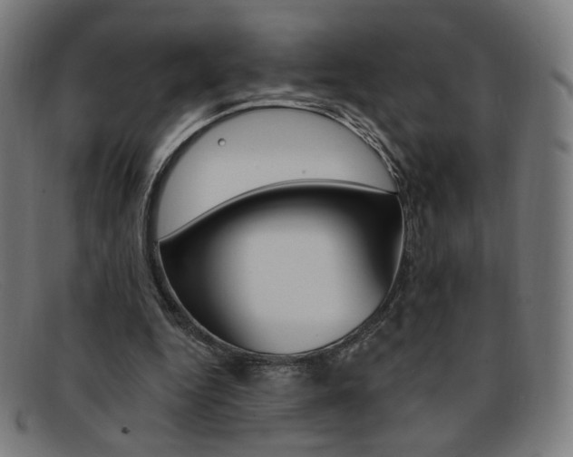 X0000092110344200709121134