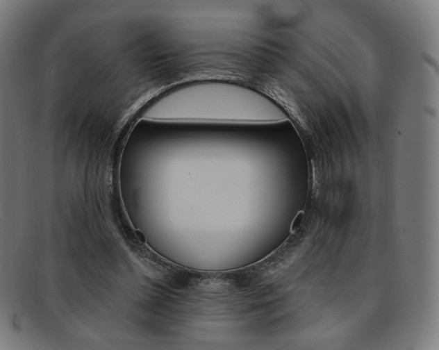 X0000092110348200709121134