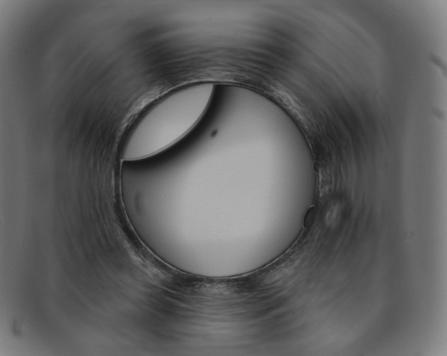 X0000092110349200709121134