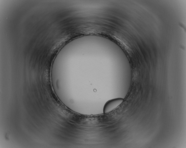 X0000092110353200709121134
