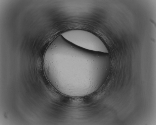 X0000092110359200709121134