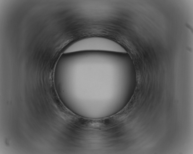 X0000092110360200709121134