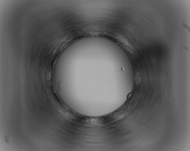 X0000092110365200709121134