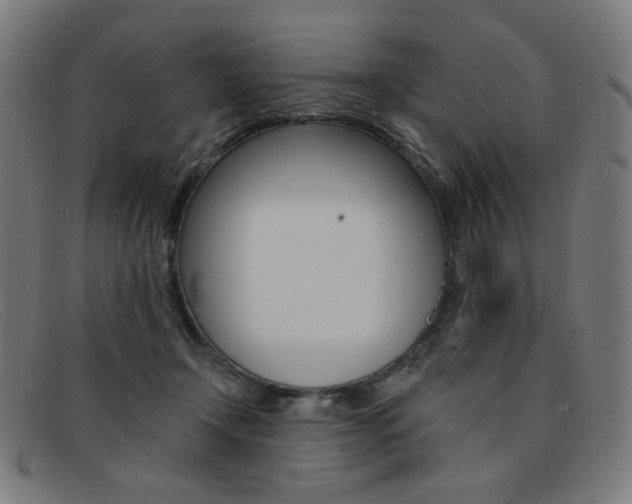 X0000092110366200709121134