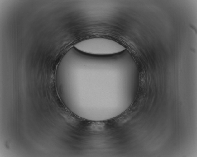 X0000092110369200709121134