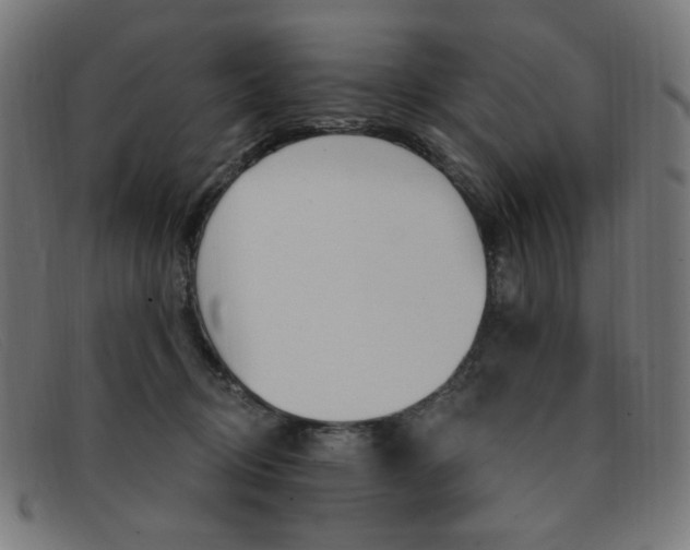 X0000092110370200709121134