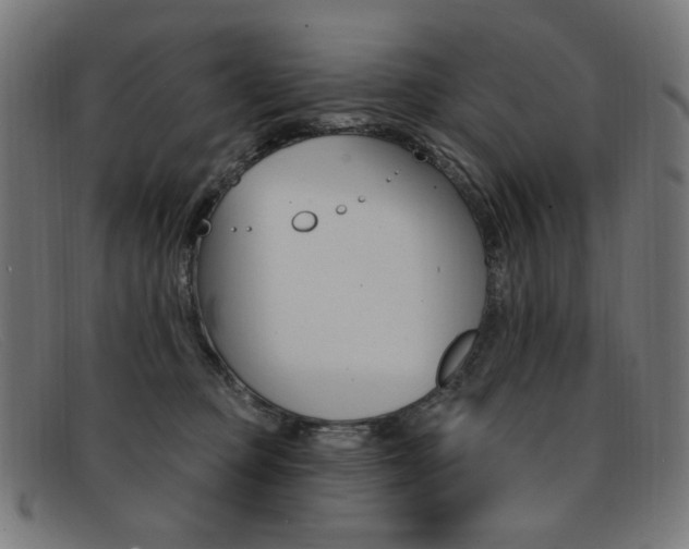 X0000092110373200709121134