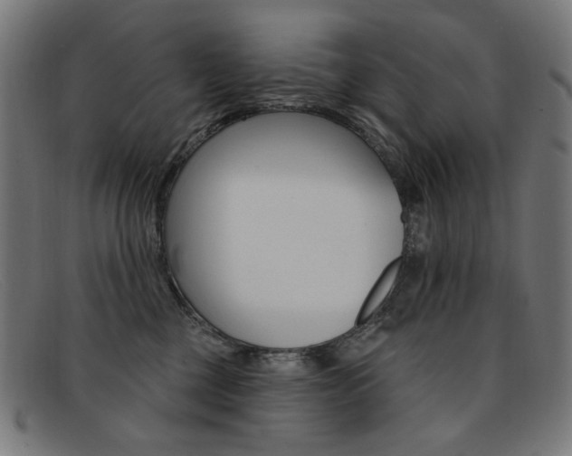 X0000092110377200709121134