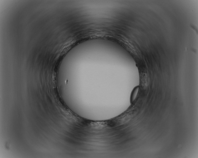 X0000092110378200709121134