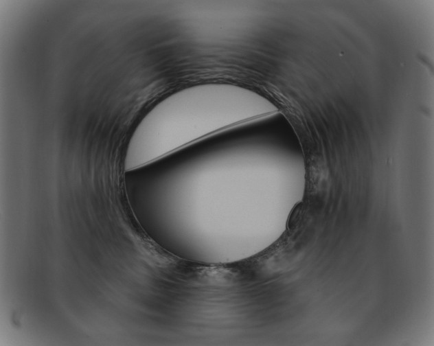 X0000092110379200709121134